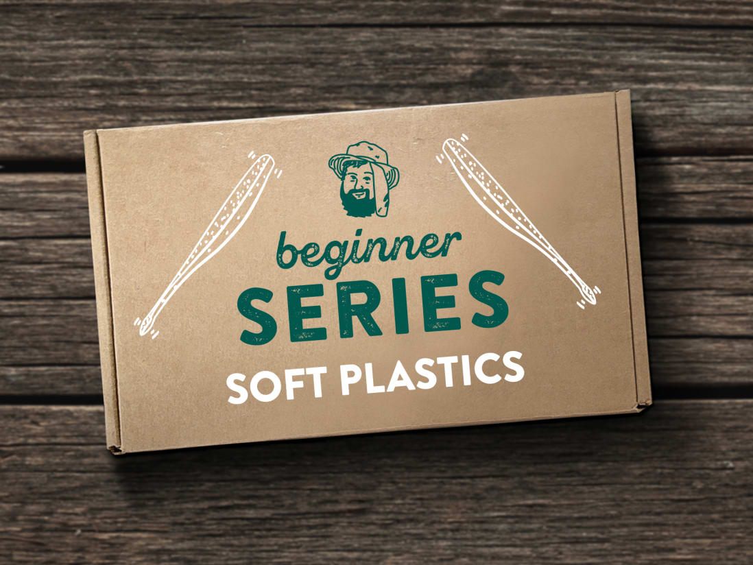 Beginner Box - Soft Plastics