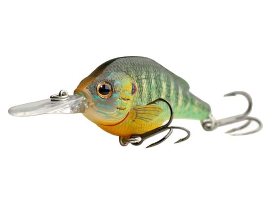 LIVETARGET Pumpkinseed Crankbait