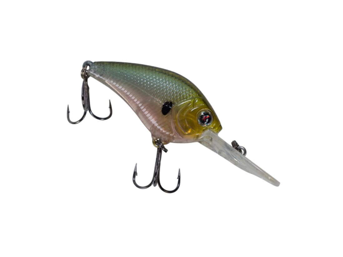 Vicious Vc Series It's like shark tank with laughs. karl s bait tackle