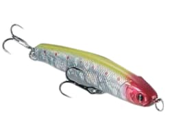 BioBait 8mm Bio Eggs 100ish per Pack