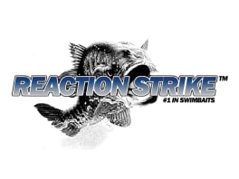 Reaction Strike