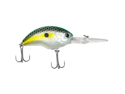 Testing Out Bargain Bin Fishing Lures/Are they any Good? 