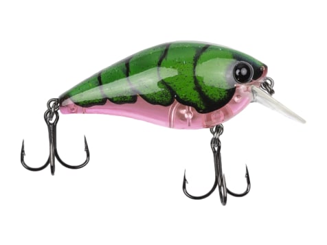 Catch Co. Bubonic Bugz Squarebill
