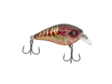 (5) Gold/Red Crawfish 2.5” Squarebill Crankbait Fishing Lures With Rattles