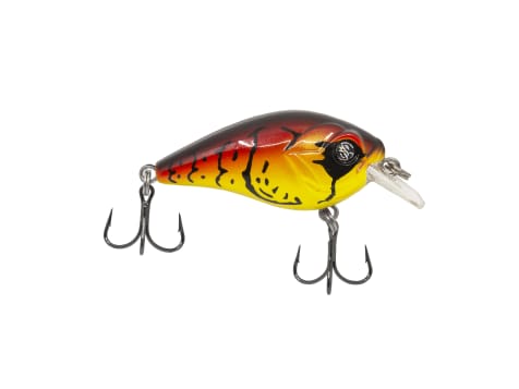 Googan Squad Micro Klutch Crankbait - 1-1/2, 1/8 oz. Sexy Shad, Sports &  Outdoors -  Canada