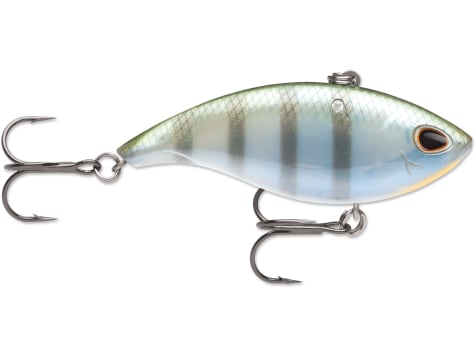 13 FISHING - BAMF Shad - Soft Plastic Wedge Tail Swimbait - 8 - 3oz -  Silver Shad - 1 Bait Per Pack - CB-BAMFW8-6