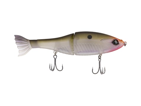 Googan Squad Bait 3600 Coffin – Southern Sweet Designs