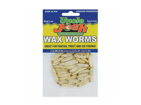 Uncle Josh Meal Worms - 36pack