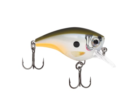 Kalin's Tickle Shad Fishing Lure (8 Pack), Soft Plastic Lures