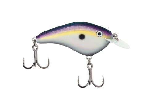 Rapala DT-6 Demon – Fat Nancy's Tackle Shop