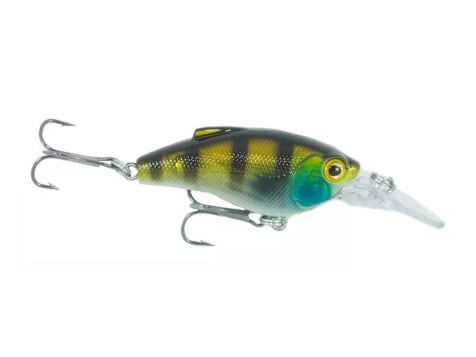 LIVETARGET Crawfish Squarebill Crankbait