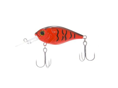 Fishing Lures, Bait & Tackle