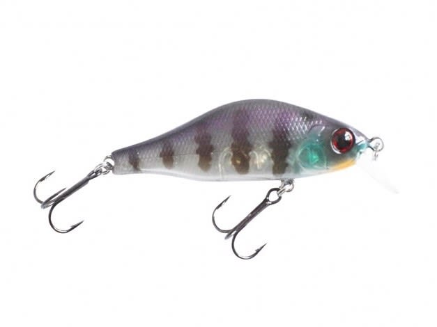 Hard And Soft Fishing Bait And Tackle