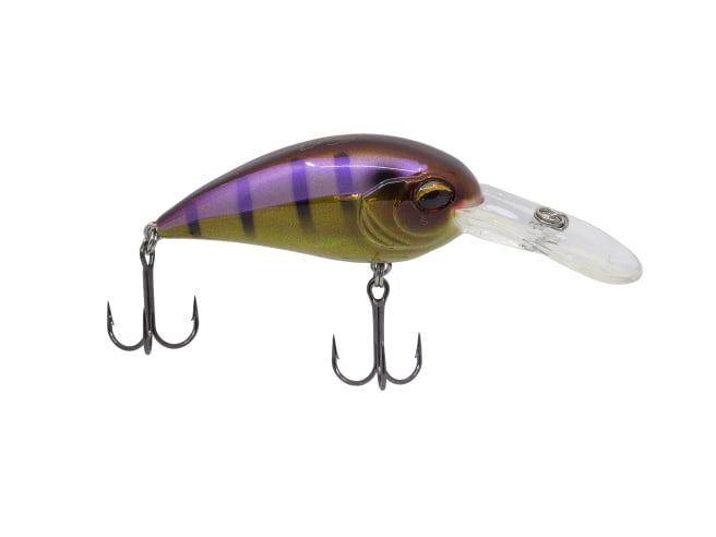 Jenko Fishing CD7 Crankbait