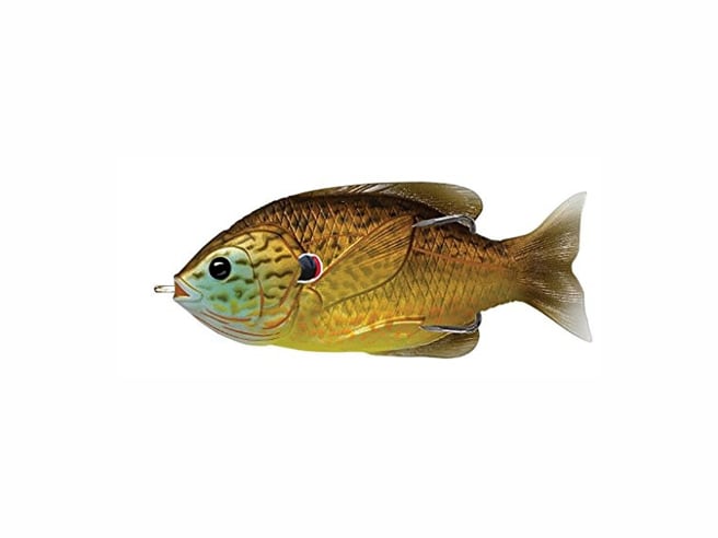 LIVETARGET Sunfish Hollow Body