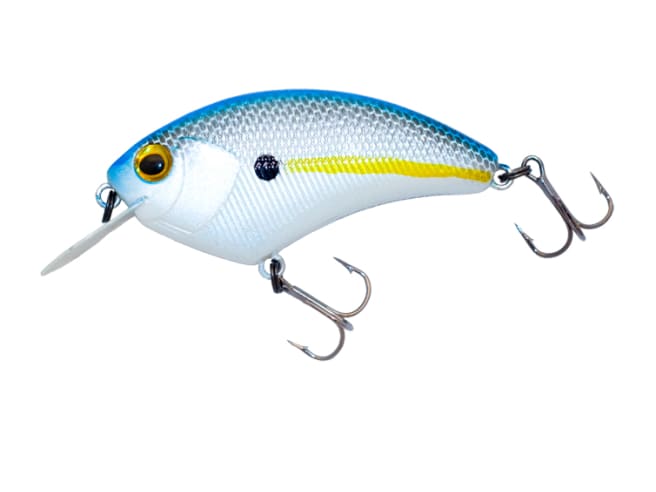 Sexy Shad