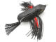 Red Winged Blackbird