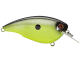 Yellow Shad