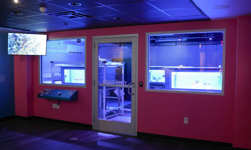 Mystic Aquarium photo from the official site