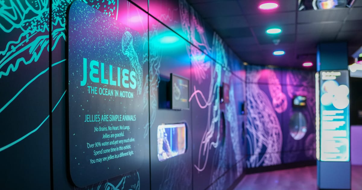 Mystic Aquarium photo from the official site