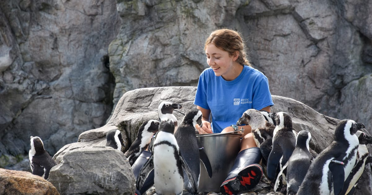 Internships Mystic Aquarium