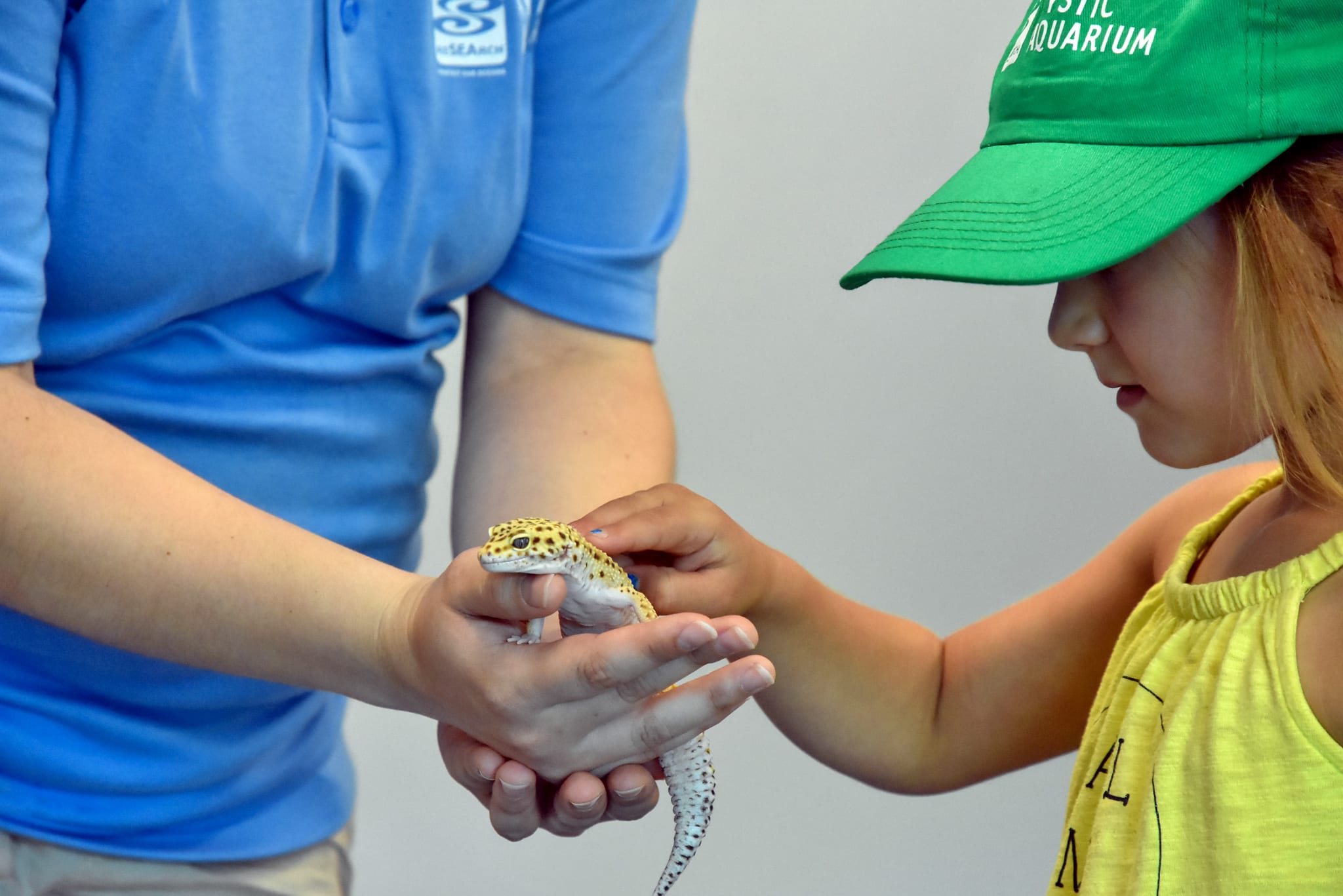 Summer Kids Club  Aquarium of the Pacific