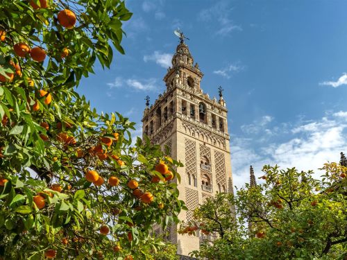 Highlights of Spain
