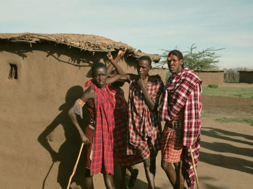 Kenya: Maasai Mara & Safari