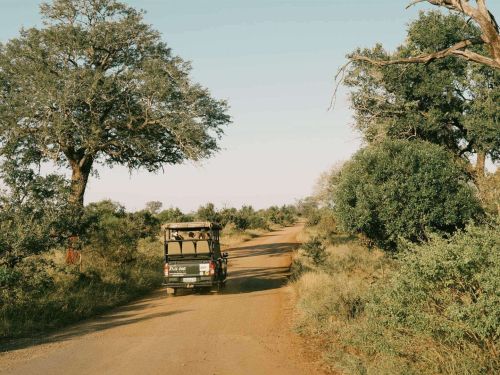 Cape Town to Kruger Safari