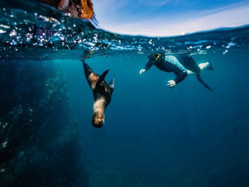 Galapagos Island Hopper