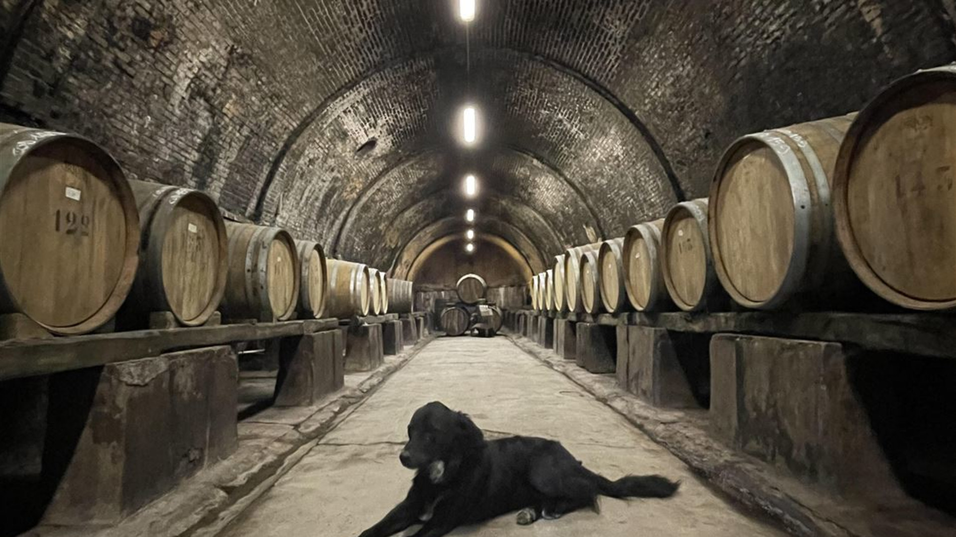 Discover Tuscany: Culture, Food & Wine