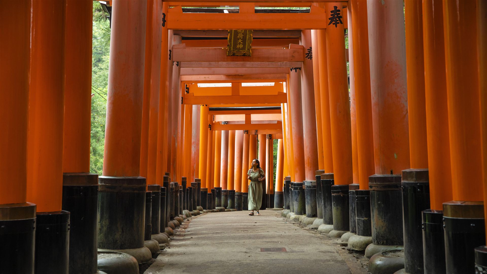Japan: Kyoto, Tokyo & the Michinoku Coastal Trail