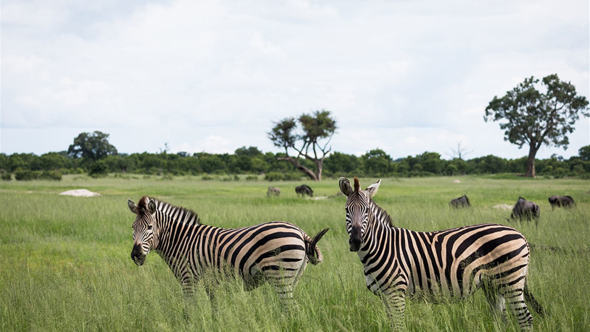 Explore Southern Africa