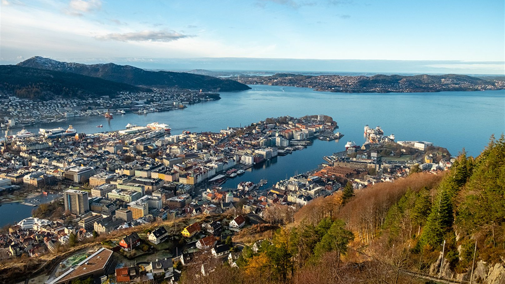 Premium Sweden and Norway