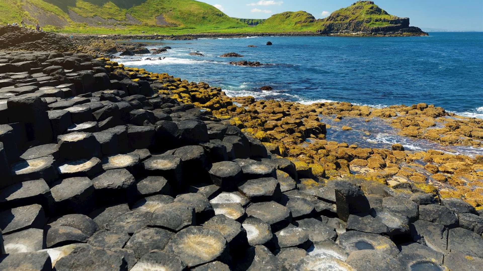 Country Roads of Ireland - Premium