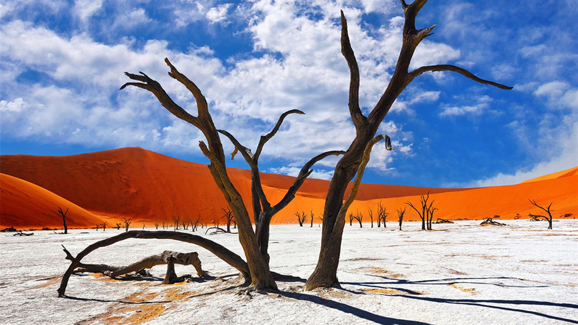 Zanzibar to Cape Town