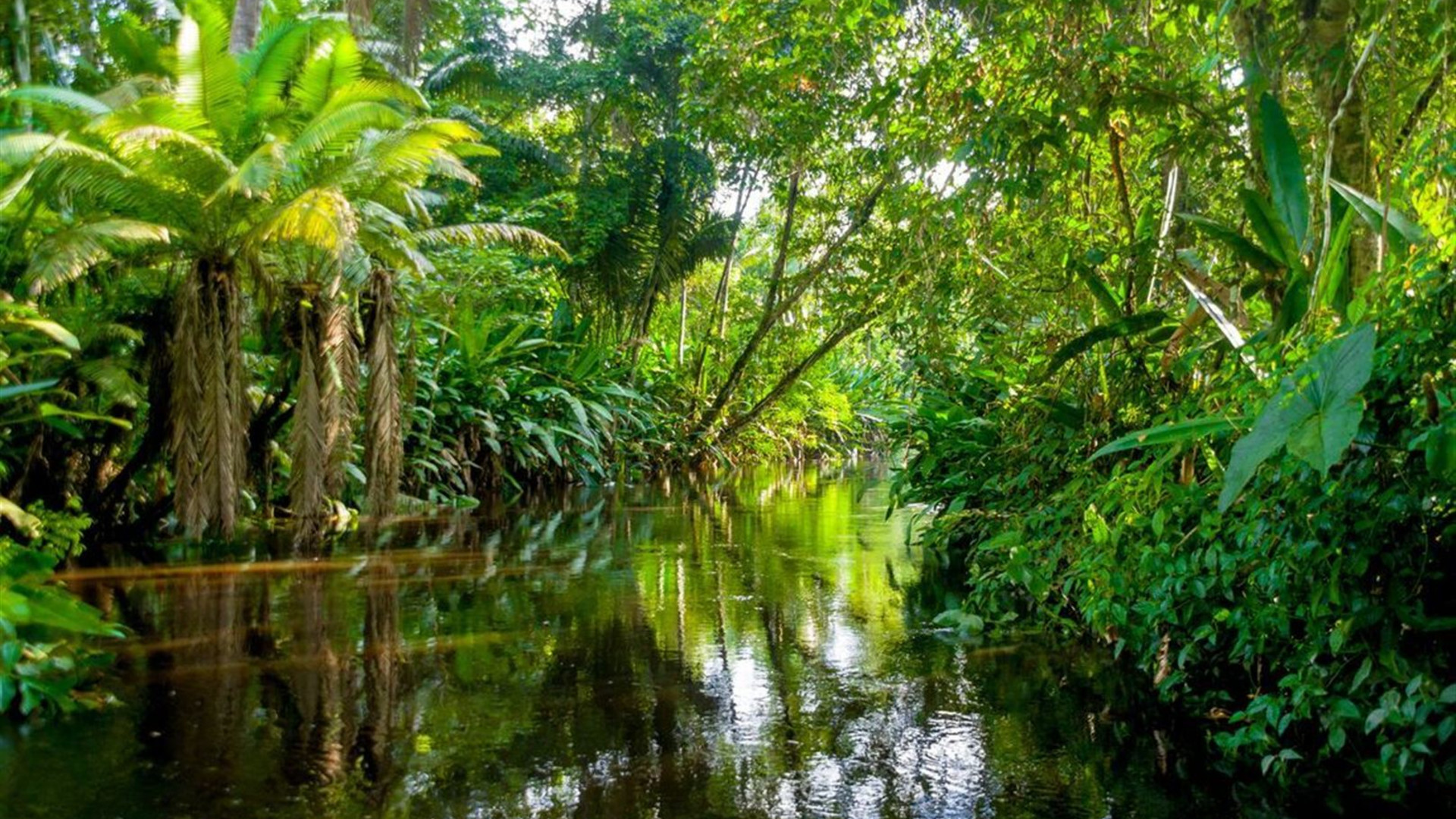 Ecuador Highlands & Galapagos 