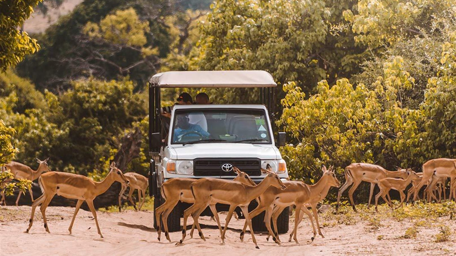 Botswana Adventure