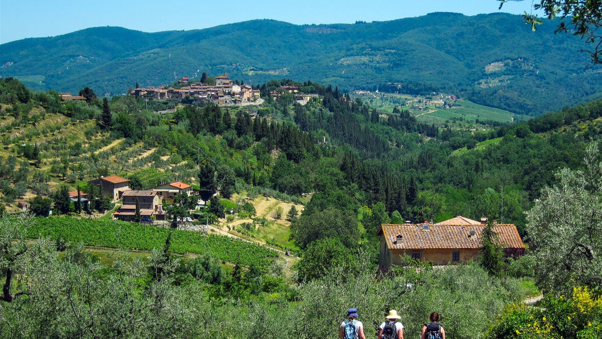 Discover Tuscany: Culture, Food & Wine