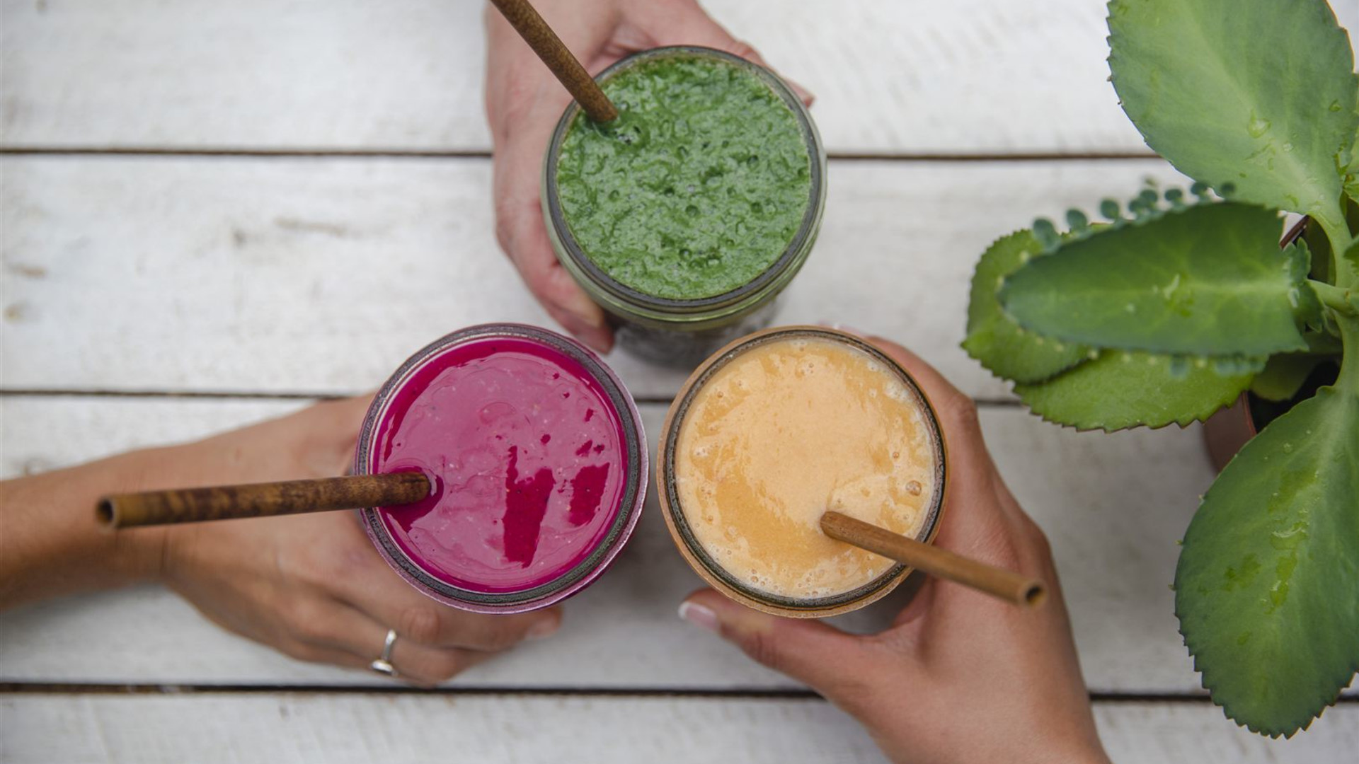 Wellness Costa Rica