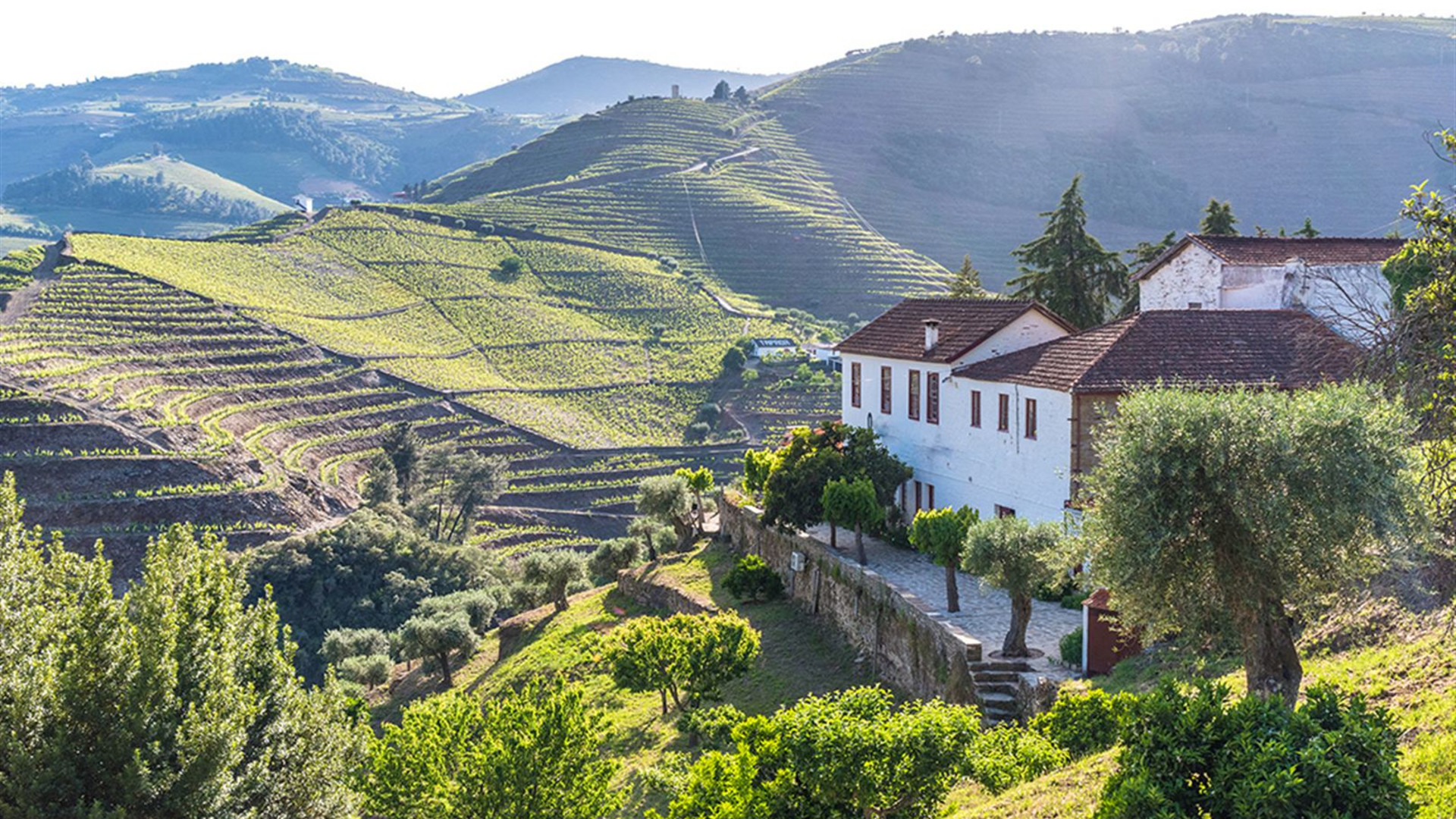 Spain & Portugal Real Food Adventure 
