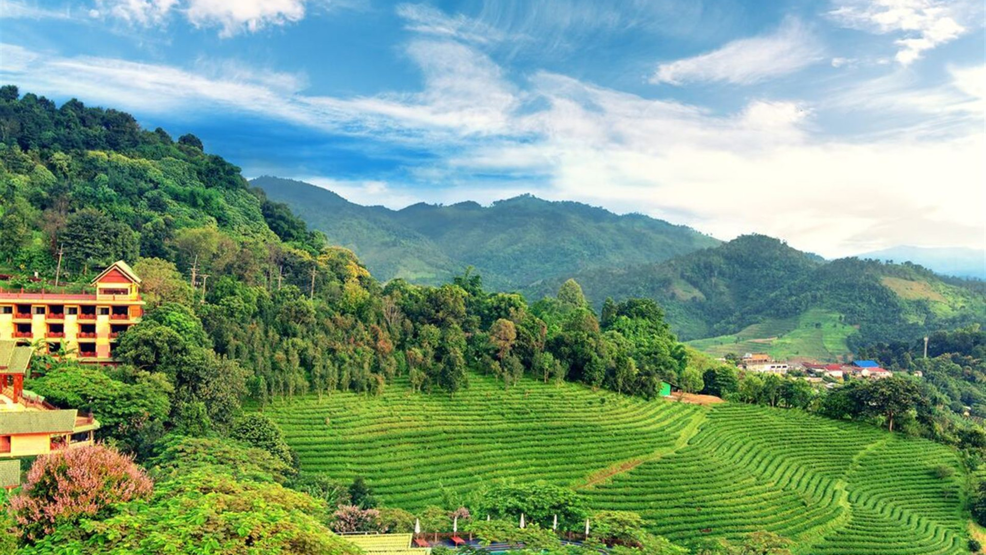 Beautiful Northern Thailand