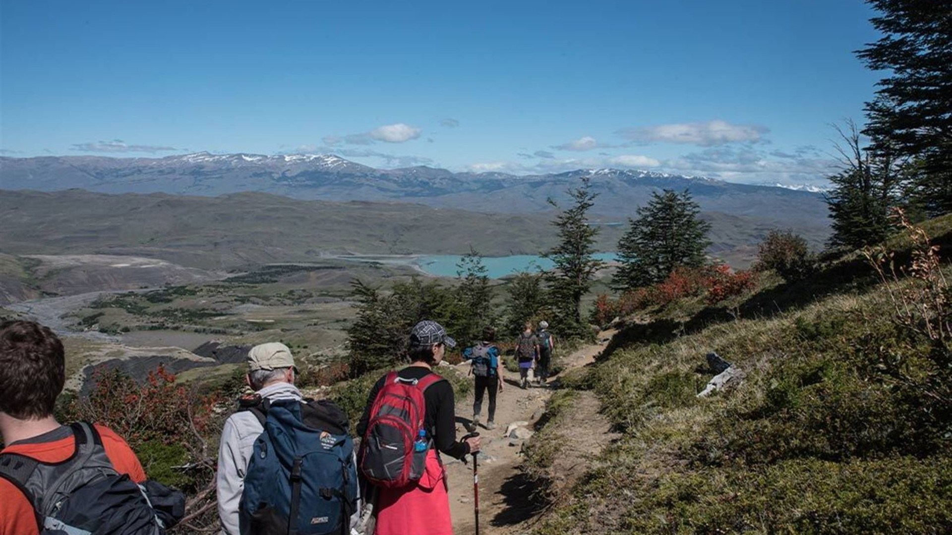 Premium Patagonia			