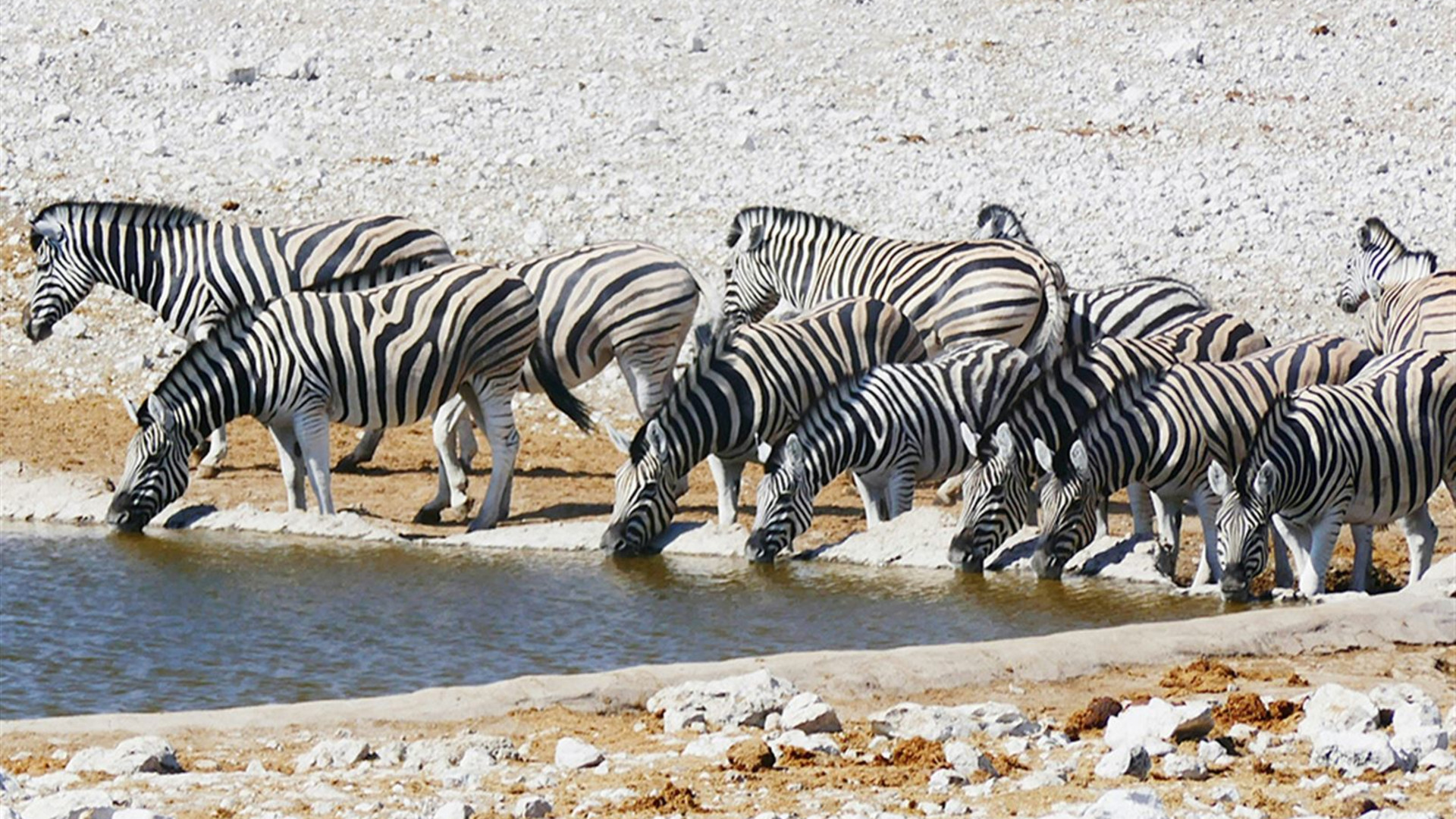Namibia and South Africa