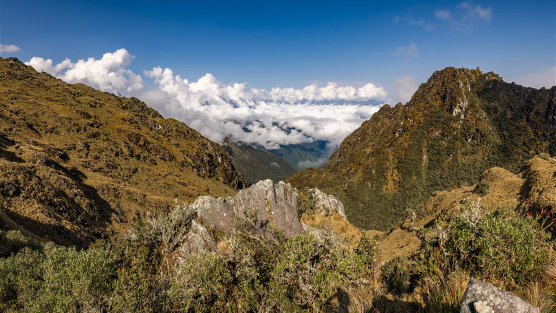 Inca Trail & Amazon Adventure