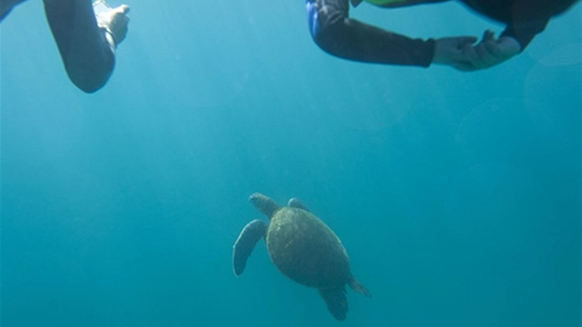 Journeys: Explore South America