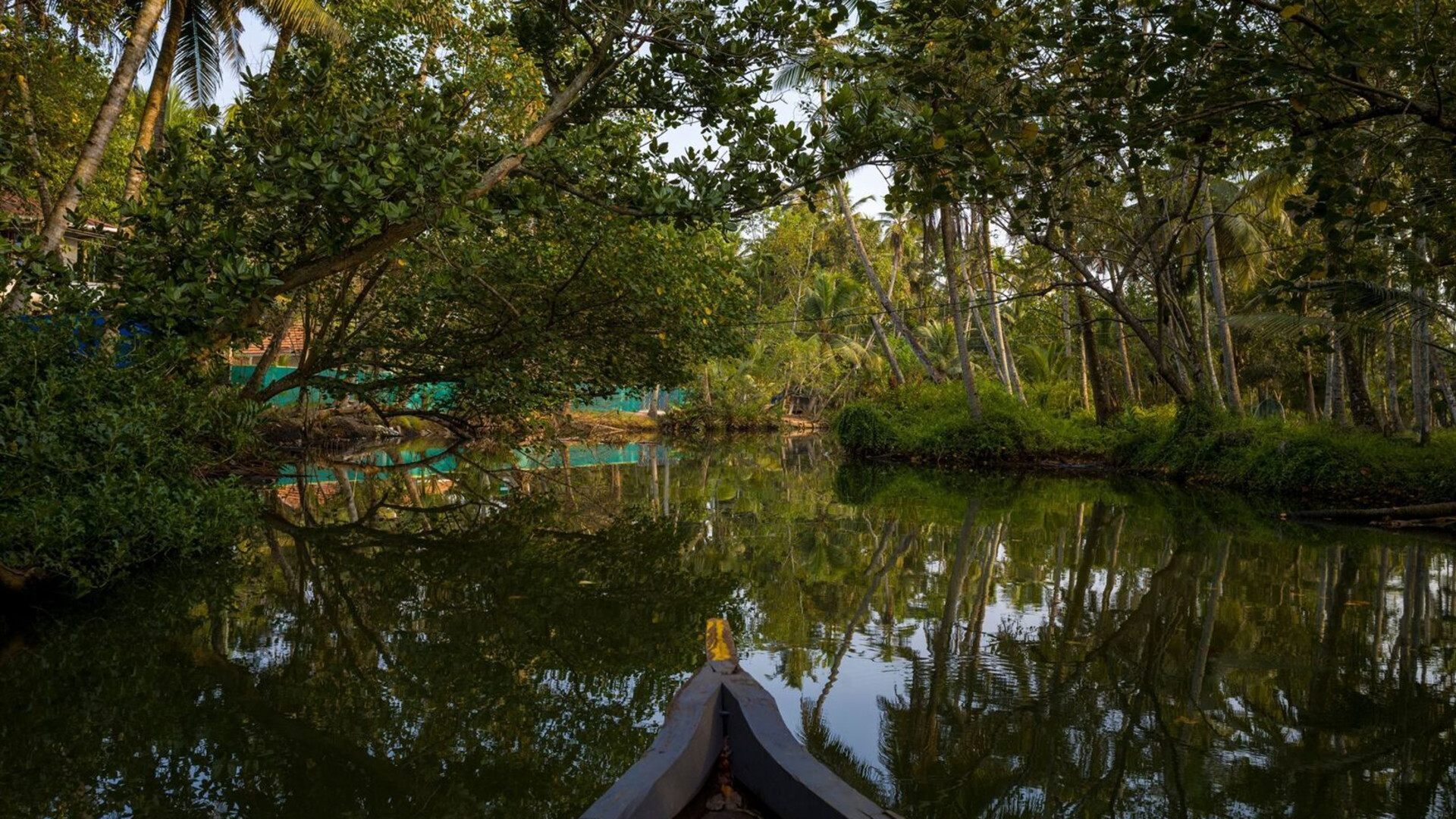 South India Revealed