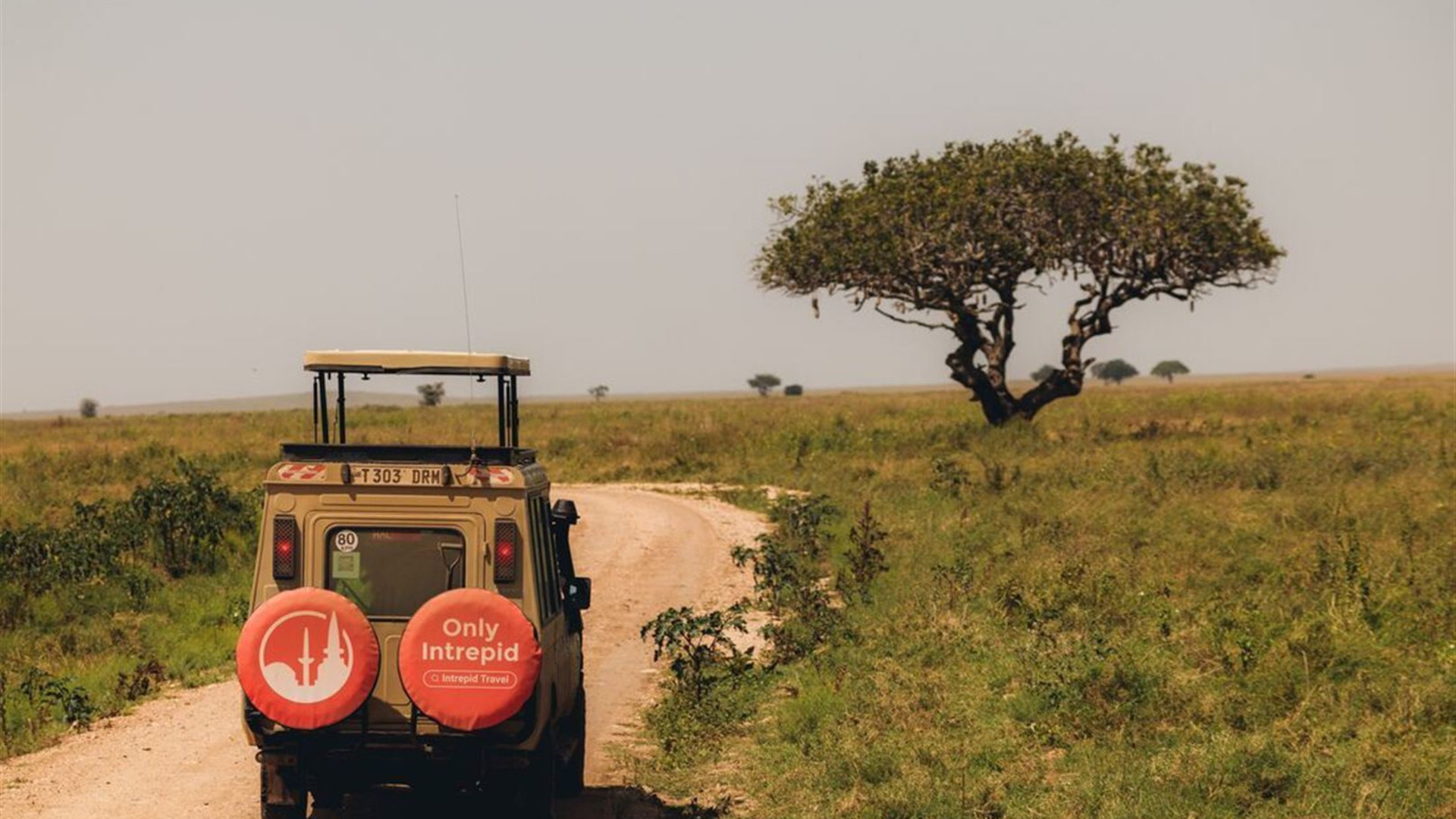 Zanzibar to Nairobi