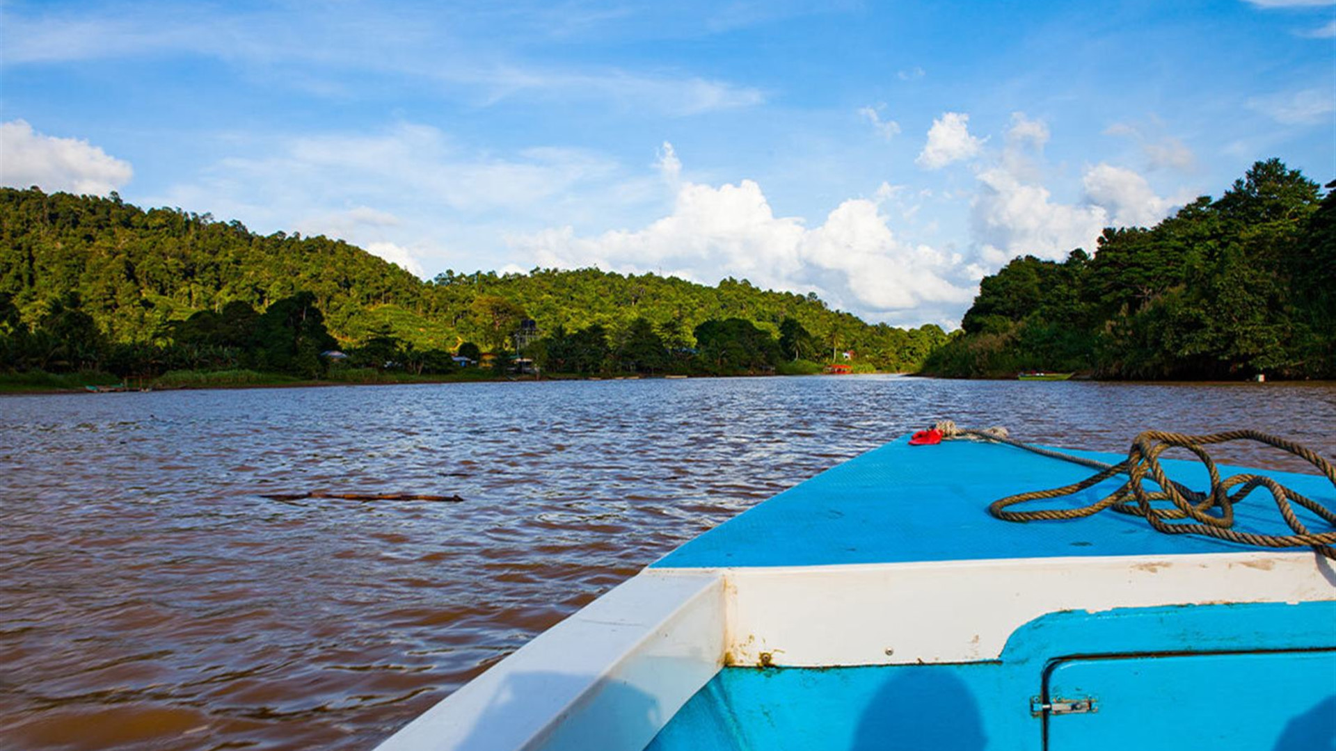 Classic Borneo
