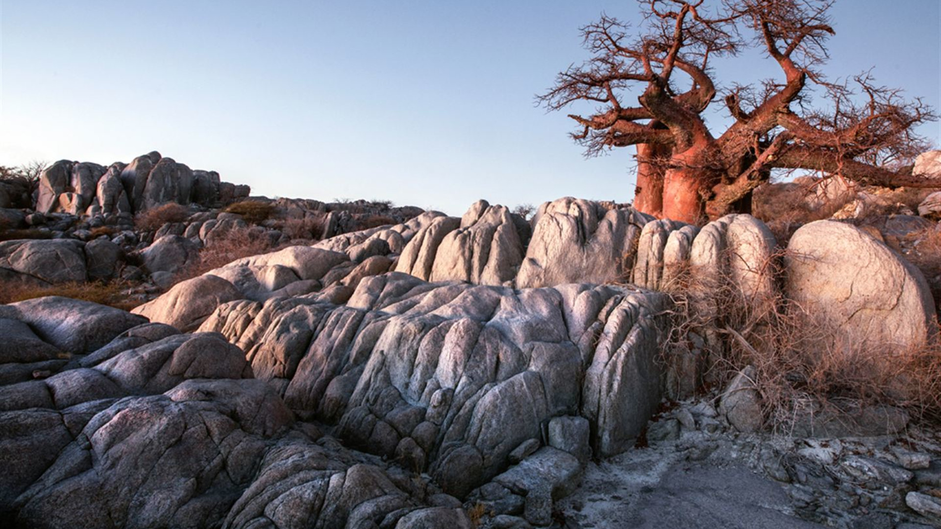 Namibia zu Victoria Falls Überland-Safari & Teilnahme Camping